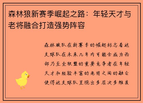森林狼新赛季崛起之路:年轻天才与老将融合打造强势阵容