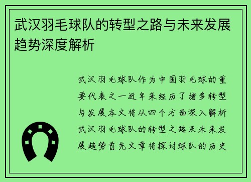 武汉羽毛球队的转型之路与未来发展趋势深度解析